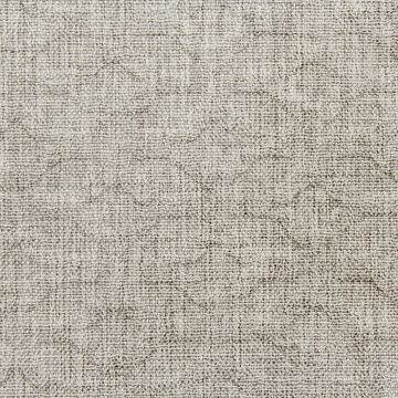 Tolkie Grey with Crypton Home Finish  Fabric