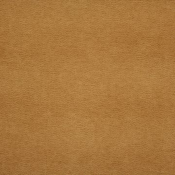 Gemma Amber with Crypton Home Finish  Fabric