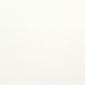 Bronco White  Fabric