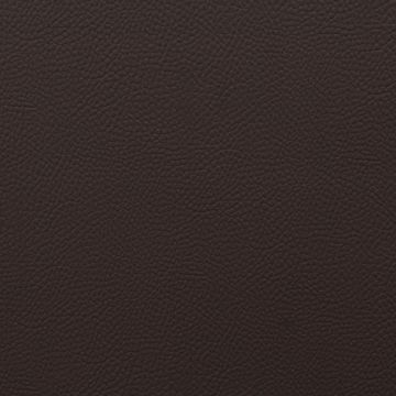 Bronco Brown  Fabric