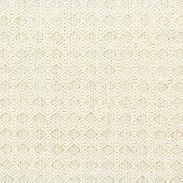 Revolution Amish Cotton  Fabric