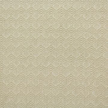 Revolution Amish Dune  Fabric