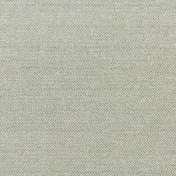 Revolution Tailor Glass  Fabric