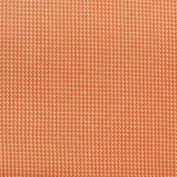 Sylvan Orangedge  Fabric