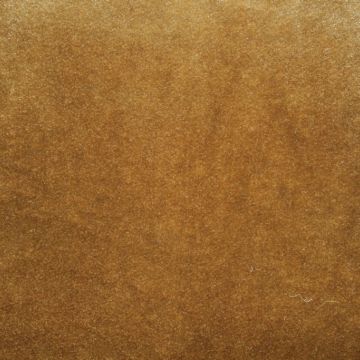 Velveteen 60 Inch Wide Gold Fabric