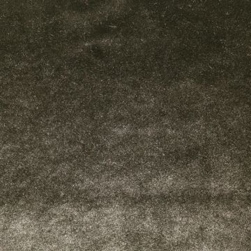 Velveteen 60 Inch Wide Charcoal Fabric