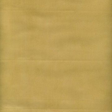 MICRO SUEDE MARIEGOLD 18 Fabric