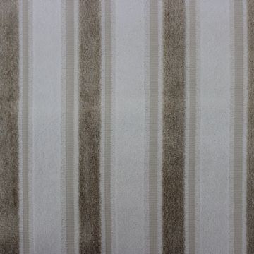 Brechlin Camel Fabric