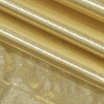 Tissue Lame  Fabric