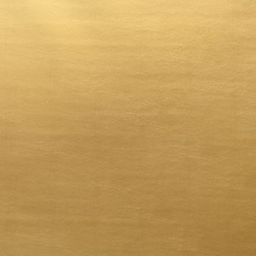 Marine Vinyl Gold  Fabric