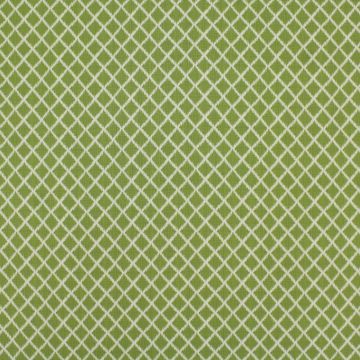 Outdura Lavalier Palm Indoor and Outdoor  Fabric