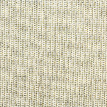 Swavelle Mill Creek Tamsin Midas  Fabric