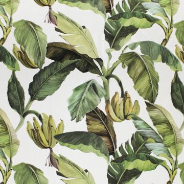 Jamaica 2453 C/1 Fabric