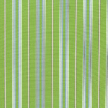 Tempotest Presidio Kiwi 5414/16 Indoor and Outdoor  Fabric