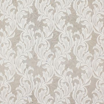 Sterling Ivory  Fabric