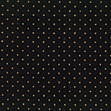 Trent with Crypton Home Finish  Fabric