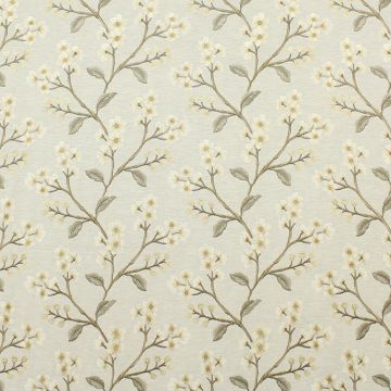 Danica  Fabric