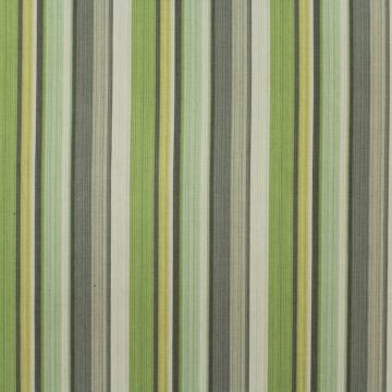 PK Lifestyles Draw the Line Spring Fabric