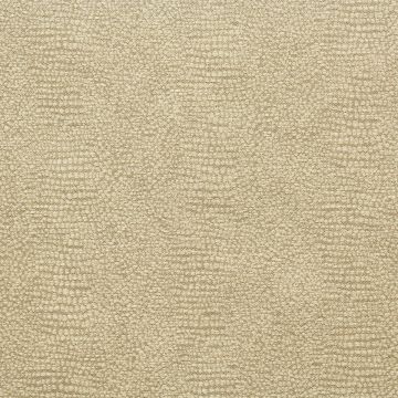 Textile Fabric Associates From The Gecko