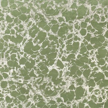 P Kaufmann Caro Lichen  Fabric