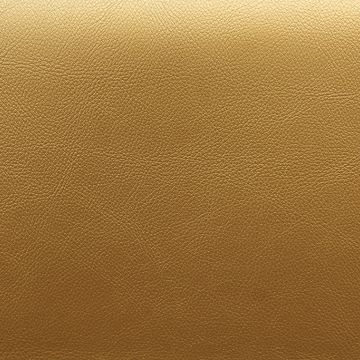 P Kaufmann Gibson Antique 119  Fabric