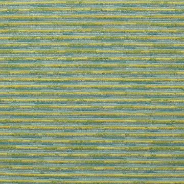 Sari Surprise Oasis Indoor and Outdoor  Fabric