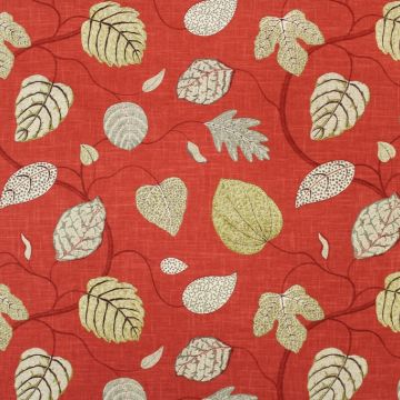 P Kaufmann Adelle Rouge Fabric