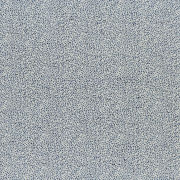 P Kaufmann Spot on Lakeland  Fabric