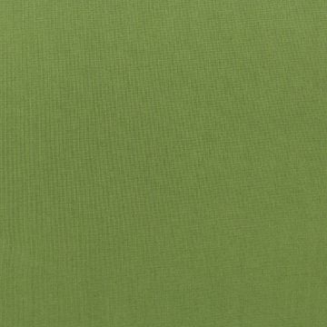 Sunbrella Spectrum Cilantro  Fabric