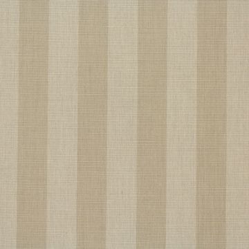 Sunbrella Expressive Sparrow Indoor and Outdoor  Fabric