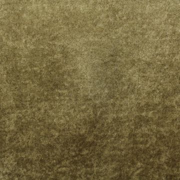 Glaze  Fabric