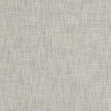 Seashell Trophy Fabric from Swavelle
