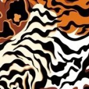 Animal Design/Faux Furs