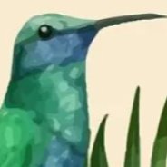 Birds/Bees/Insects