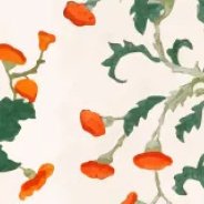 Chinoiserie Fabric